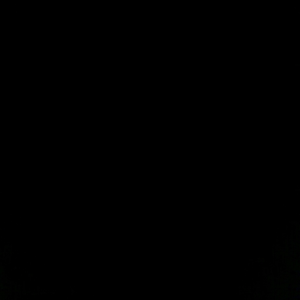 Meet your Posher, Tamarrie